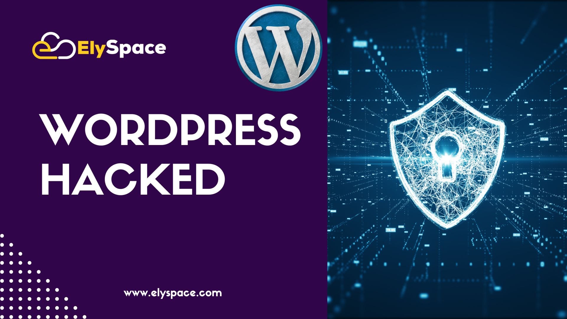 WordPress Website Hacked: Immediate Actions to Protect Your Site