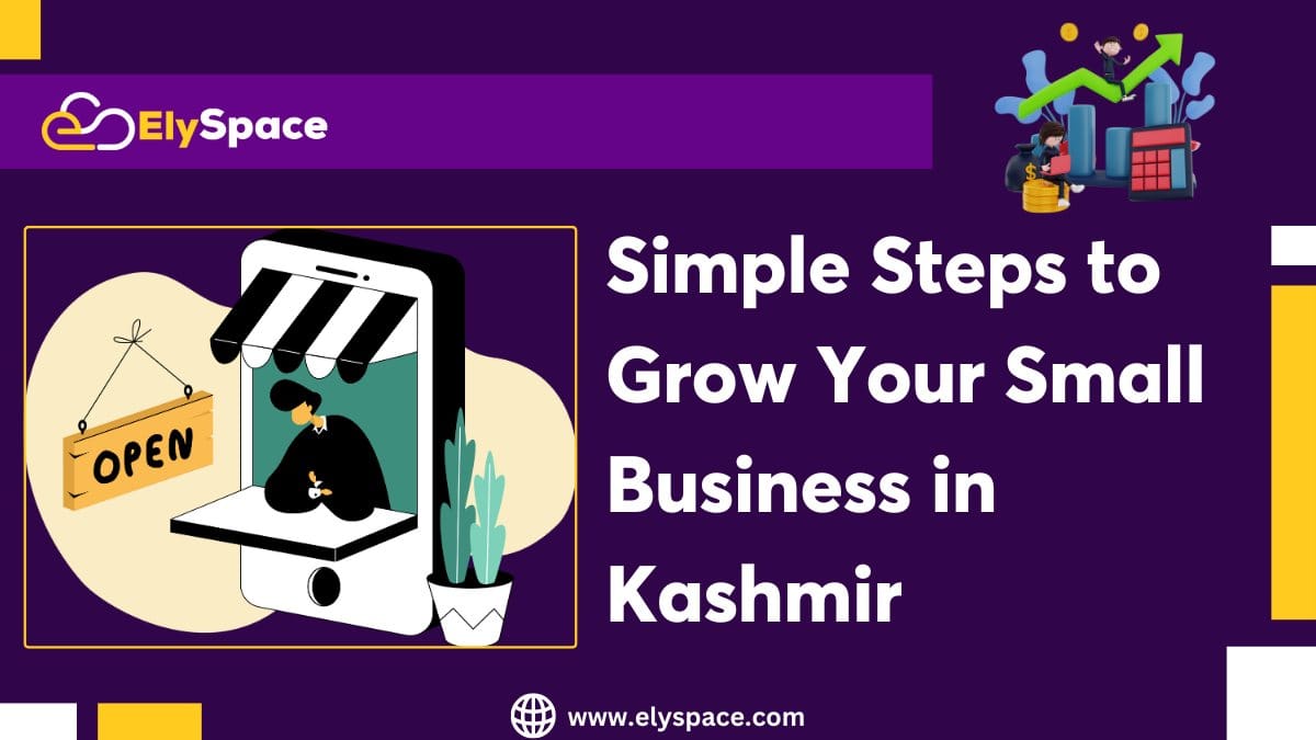Simple Steps to Grow Your Small Business in Kashmir