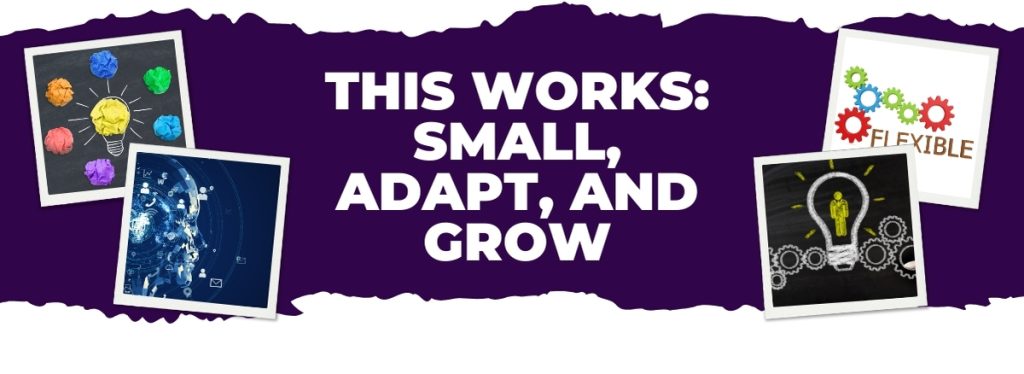 This Works: Small, Adapt, and Grow - image