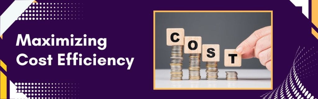 Maximizing Cost Efficiency