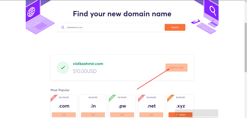 Buy the Domain Name