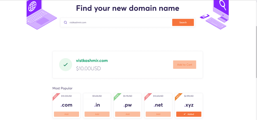 Search for a Domain Name