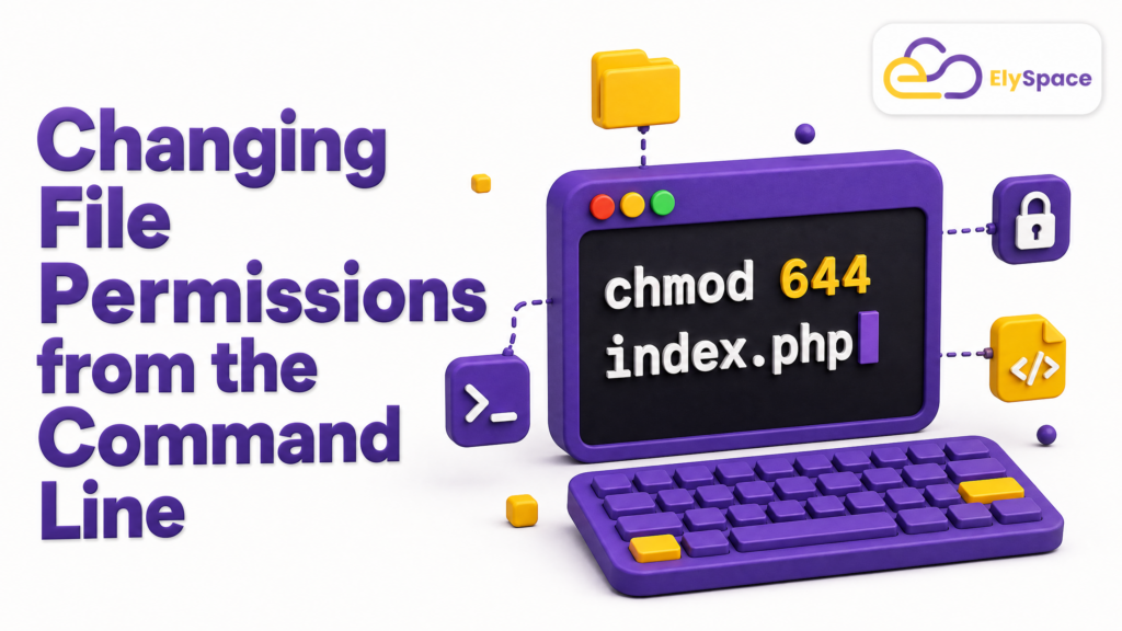 File Permissions