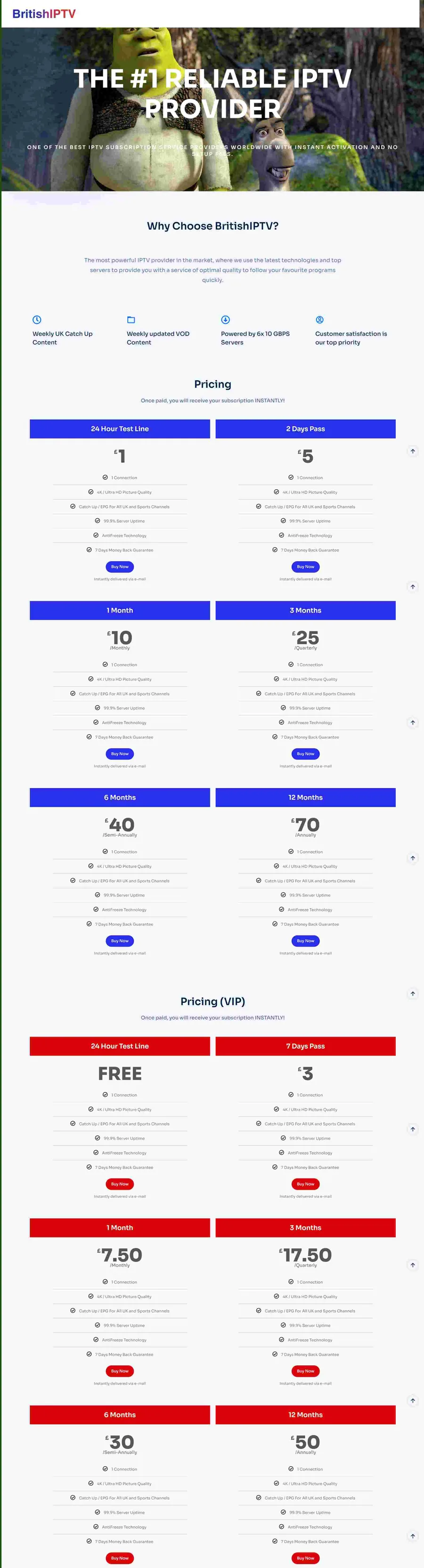 Streaming subscription ready website with pricing tiers